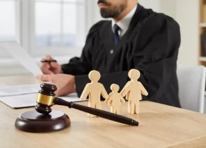 Lawyers and Law Firms