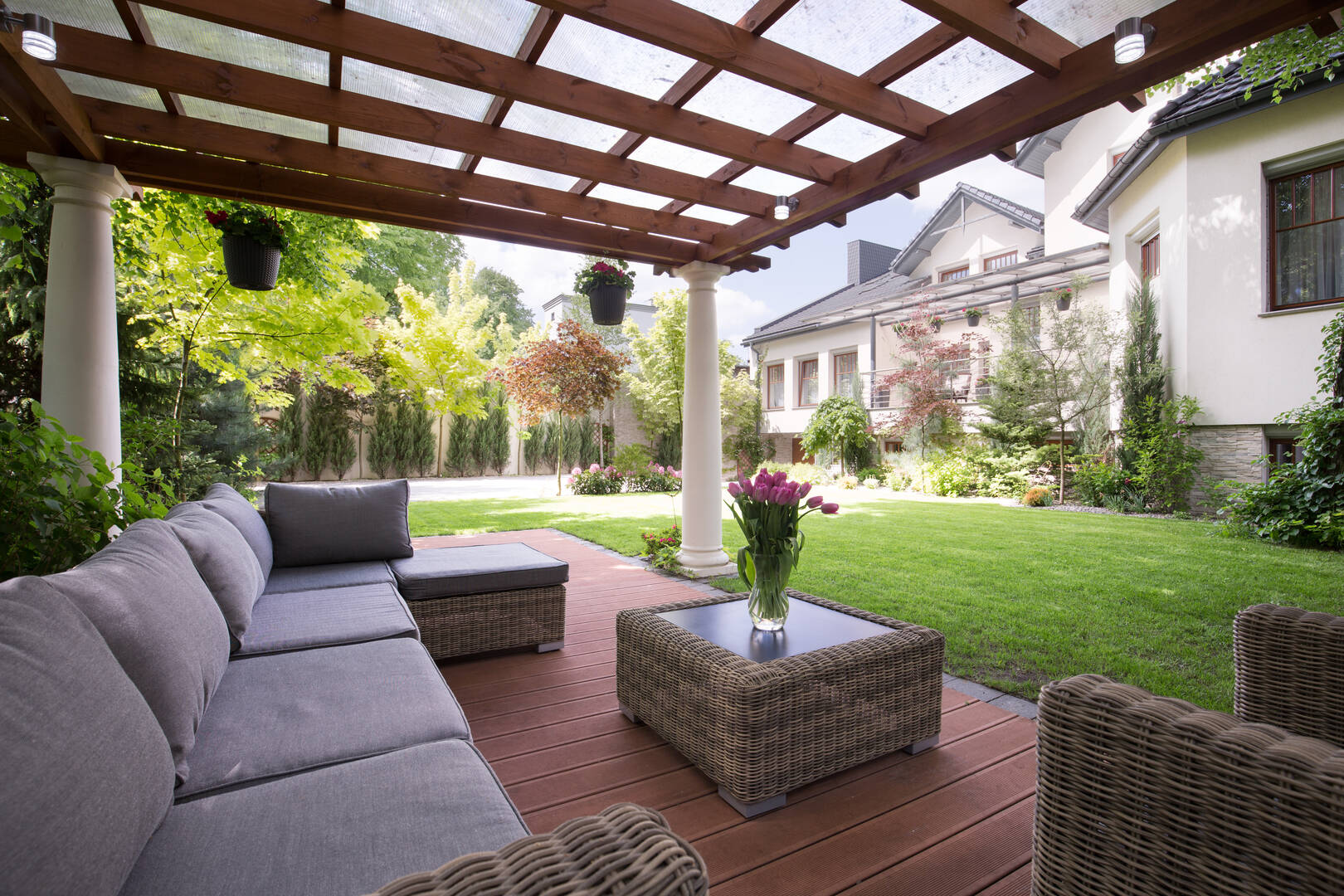 Tree Removal Service Wellington