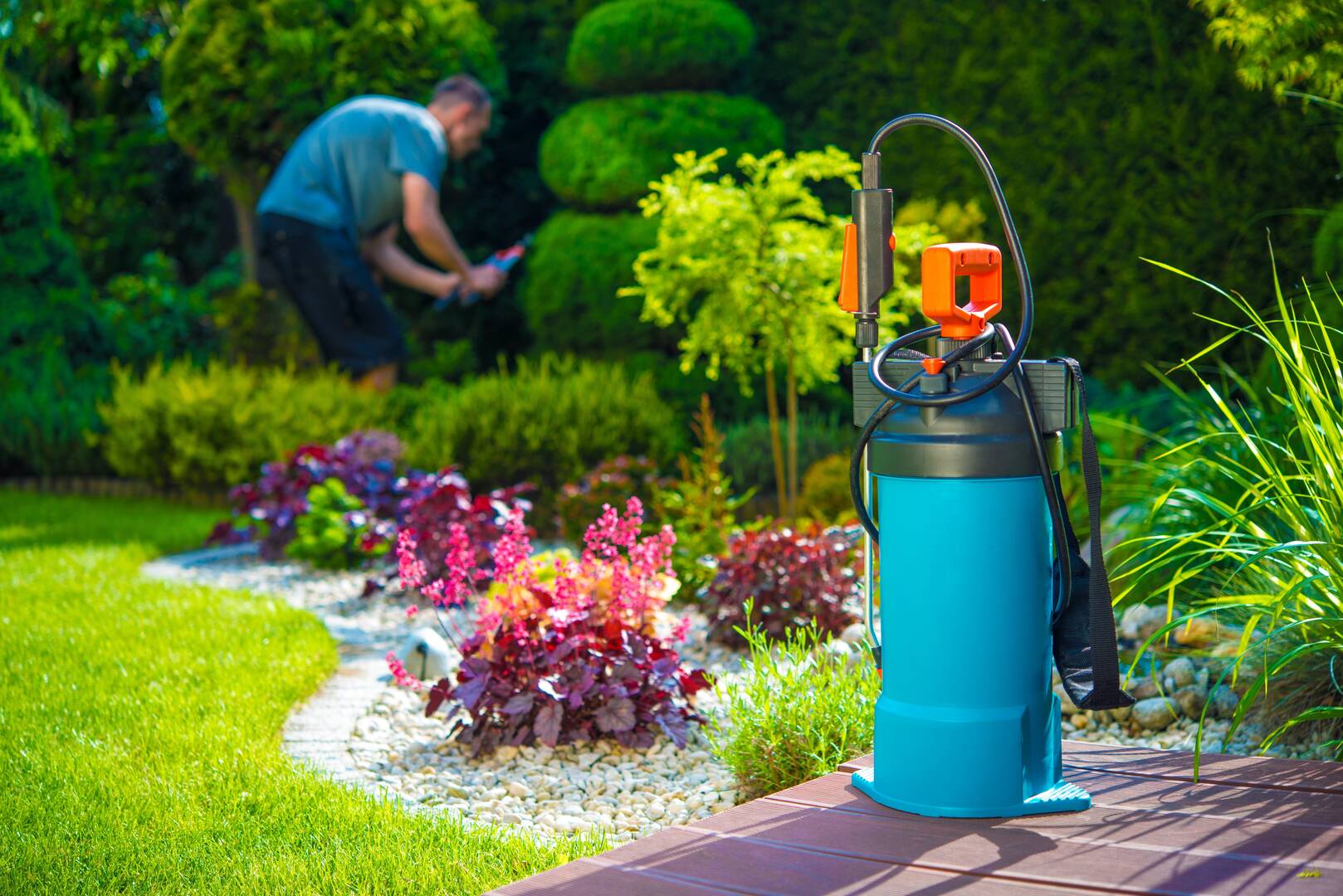Tree Removal Services Prescott AZ