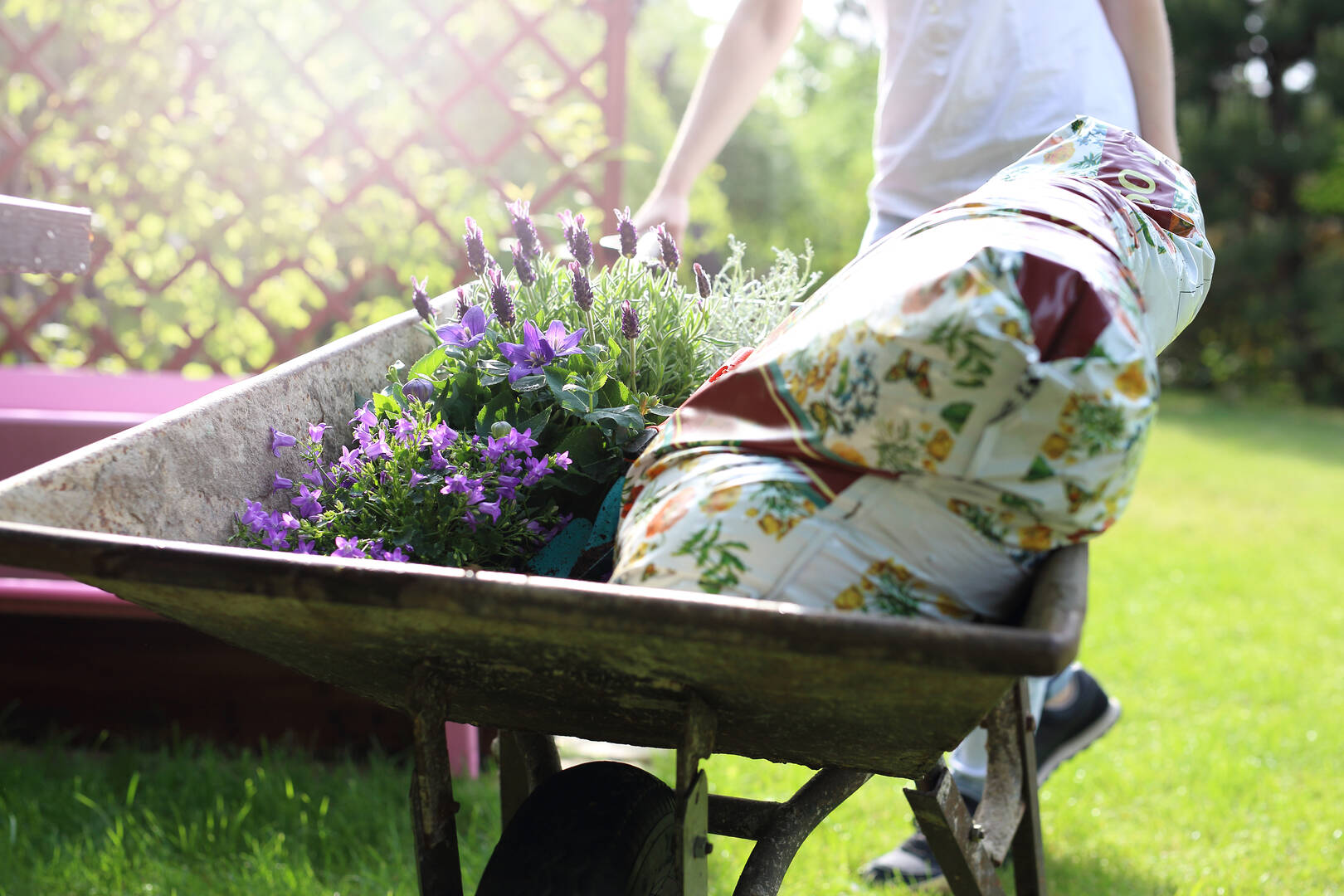 Custom Landscaping Design Services in Caseyville IL