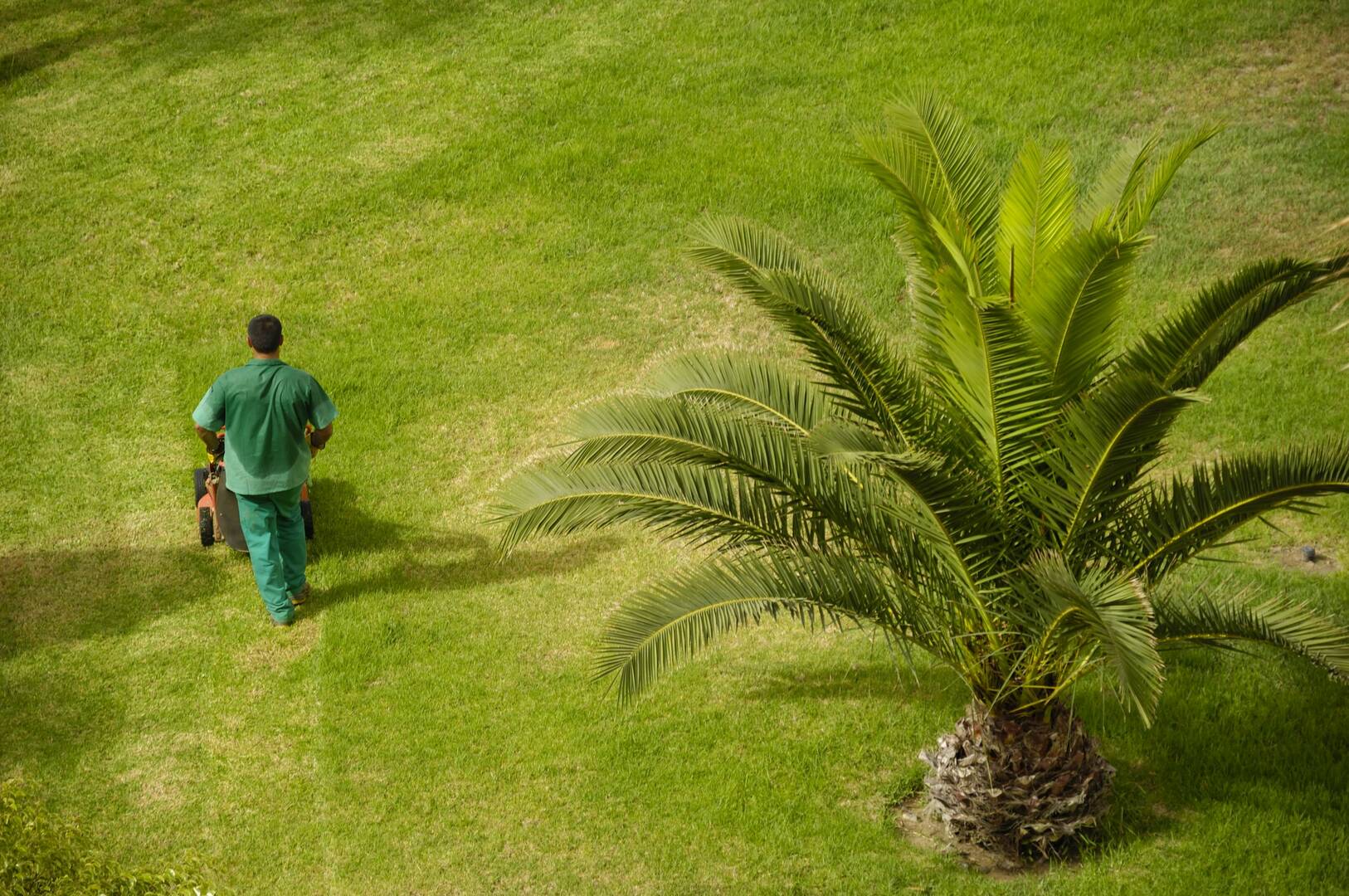 Tree Service Crestview FL